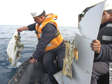Red Sea plane crash