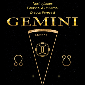 2026 NPUDF: Gemini
